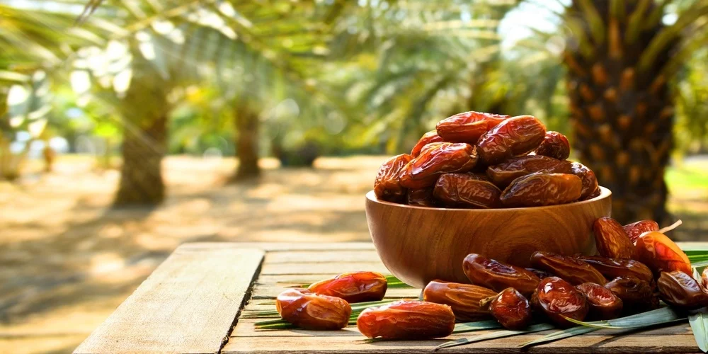 Discover the UAE's Sweetest Tradition at the New Al Wathba Dates Festival 1 Al Wahtba Dates Festival 2